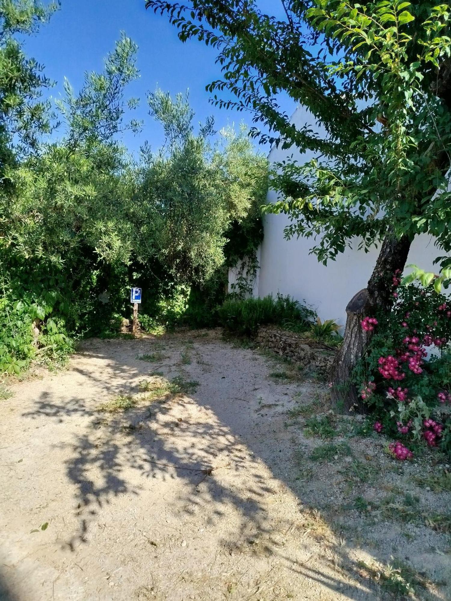 Casa Rural "La Casita" Para 2 Personas Ronda Exteriör bild